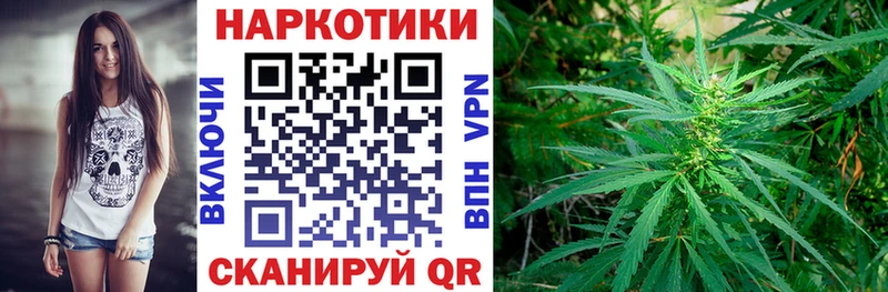 Купить наркотики цена Ачинск Канабис  СК  Галлюциногенные грибы  Меф  ГАШ 
