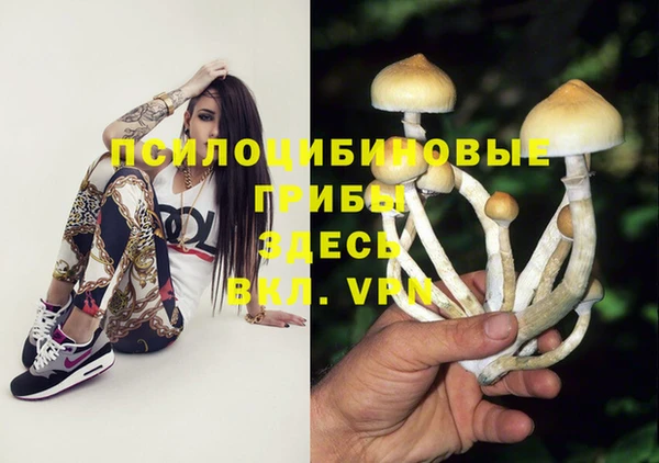 трава Алексин