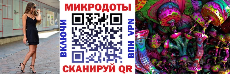 Псилоцибиновые грибы мицелий дарнет шоп Ачинск